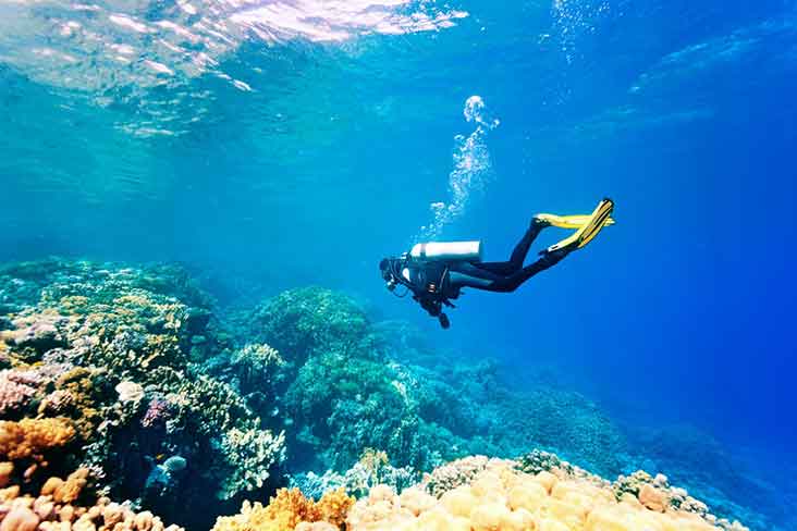 Image result for snorkeling in galle