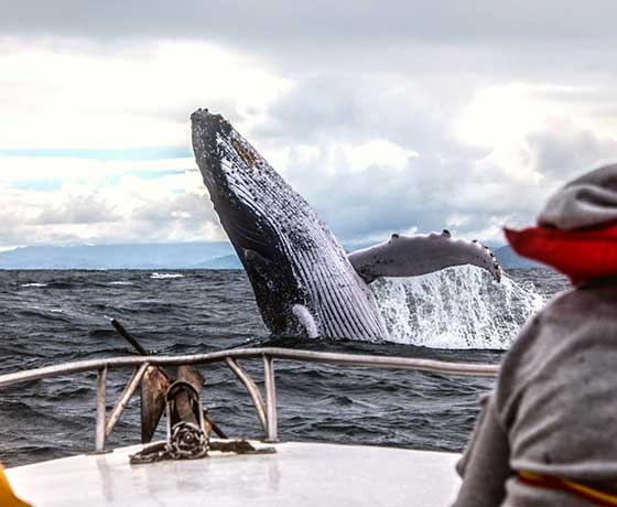 10 Days Visit amazing São Miguel in Azores