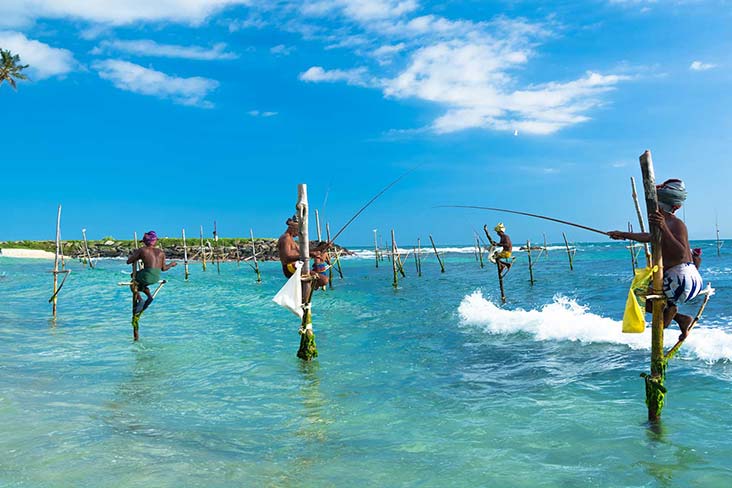 Stilt Fishing Mirissa