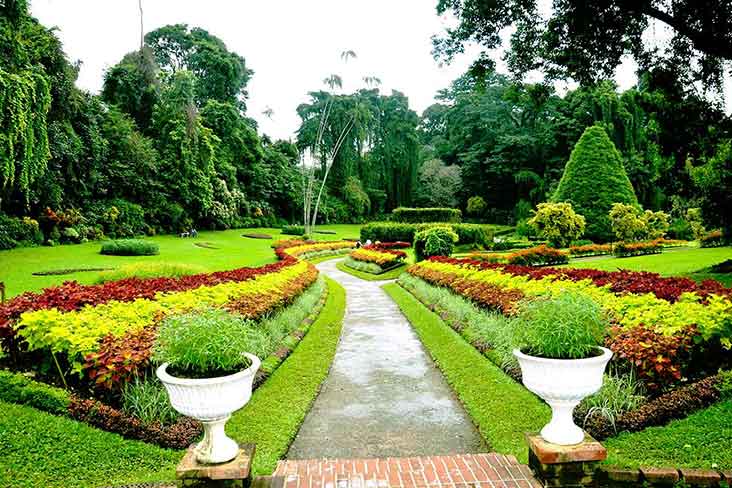 Peradeniya botanical garden
