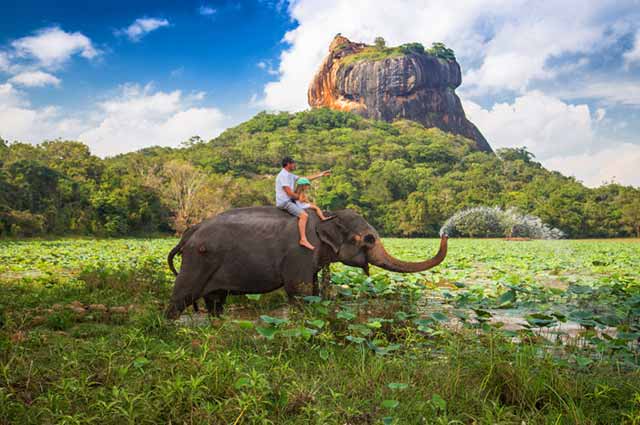 Elephant Back Safari