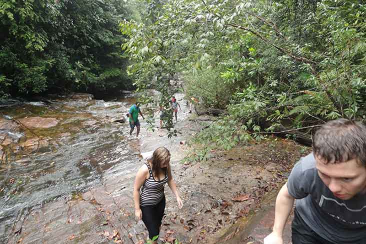 Nature Trekking Kitulgala