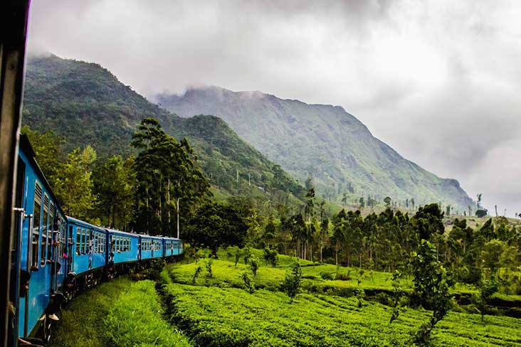 Scenic Train Ride