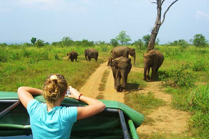 Udawalwe National Park