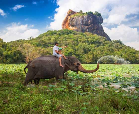 Elephant Back Safari in Sigiriya